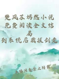 楚风苏嫣然小说免费阅读全文结局