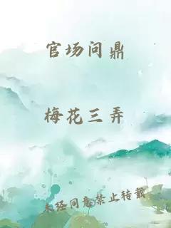 官场问鼎
